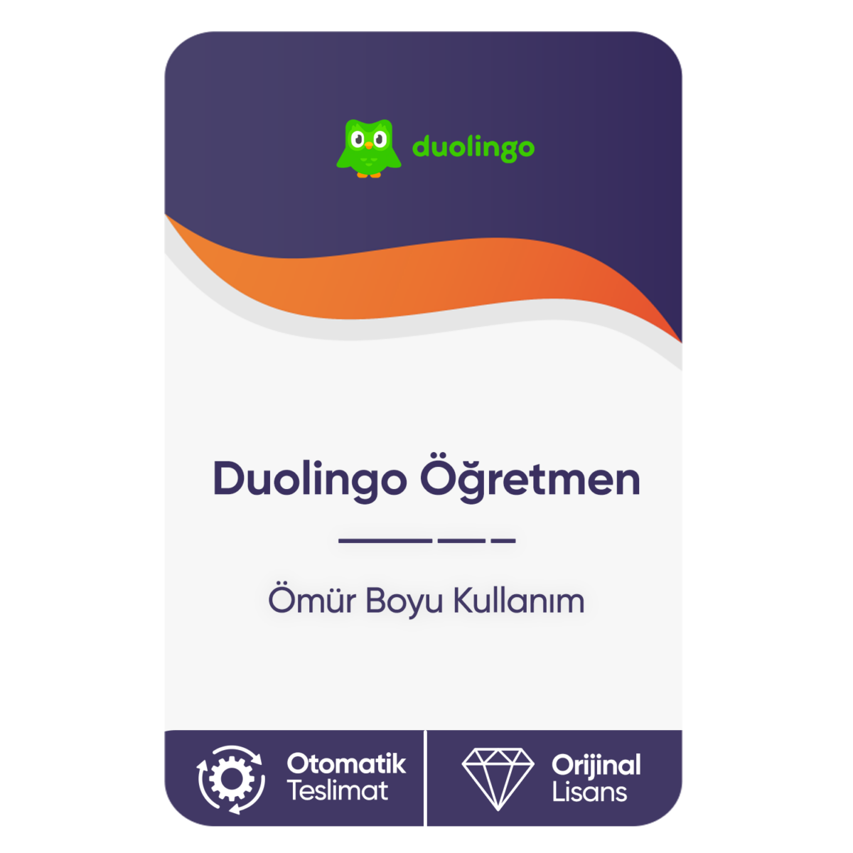 duolingo ogretmen omur boyu kullanim