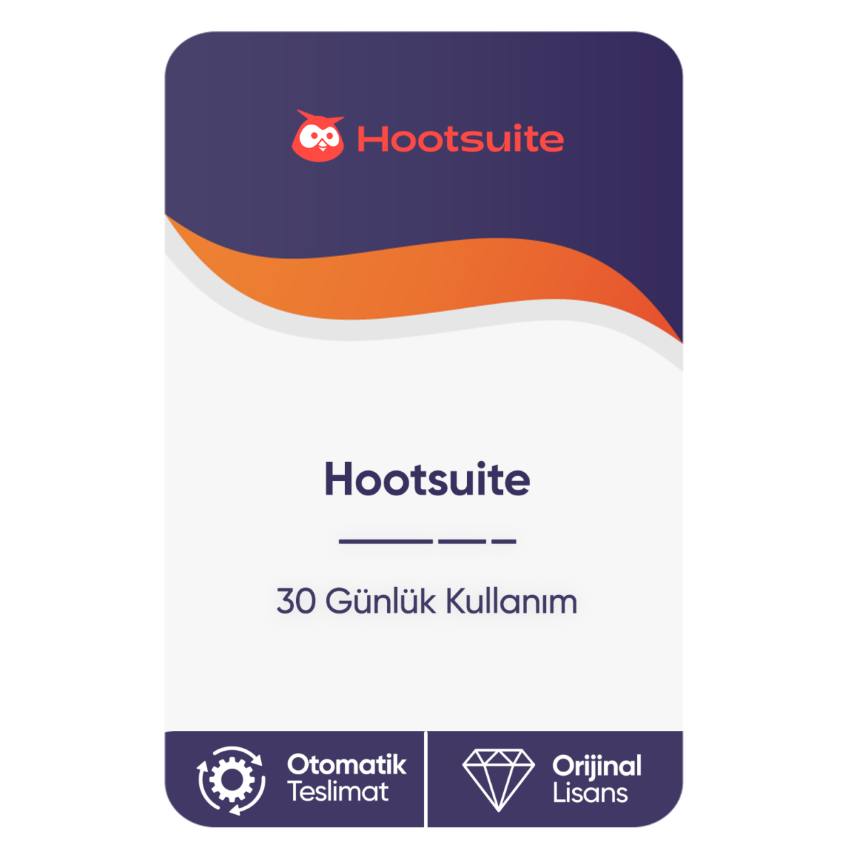 hootsuite 30 gunluk kullanim