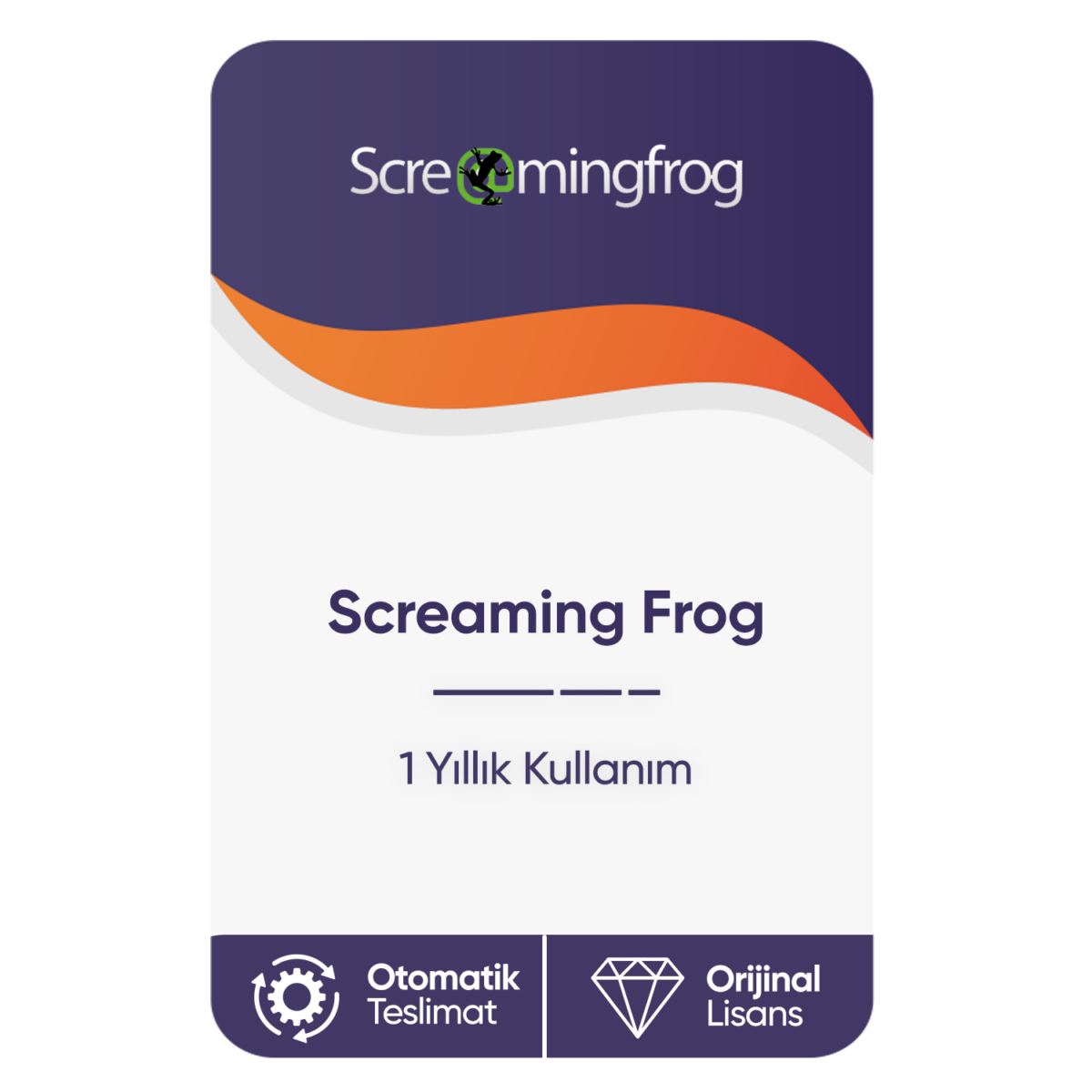 screaming frog 1 yillik kullanim