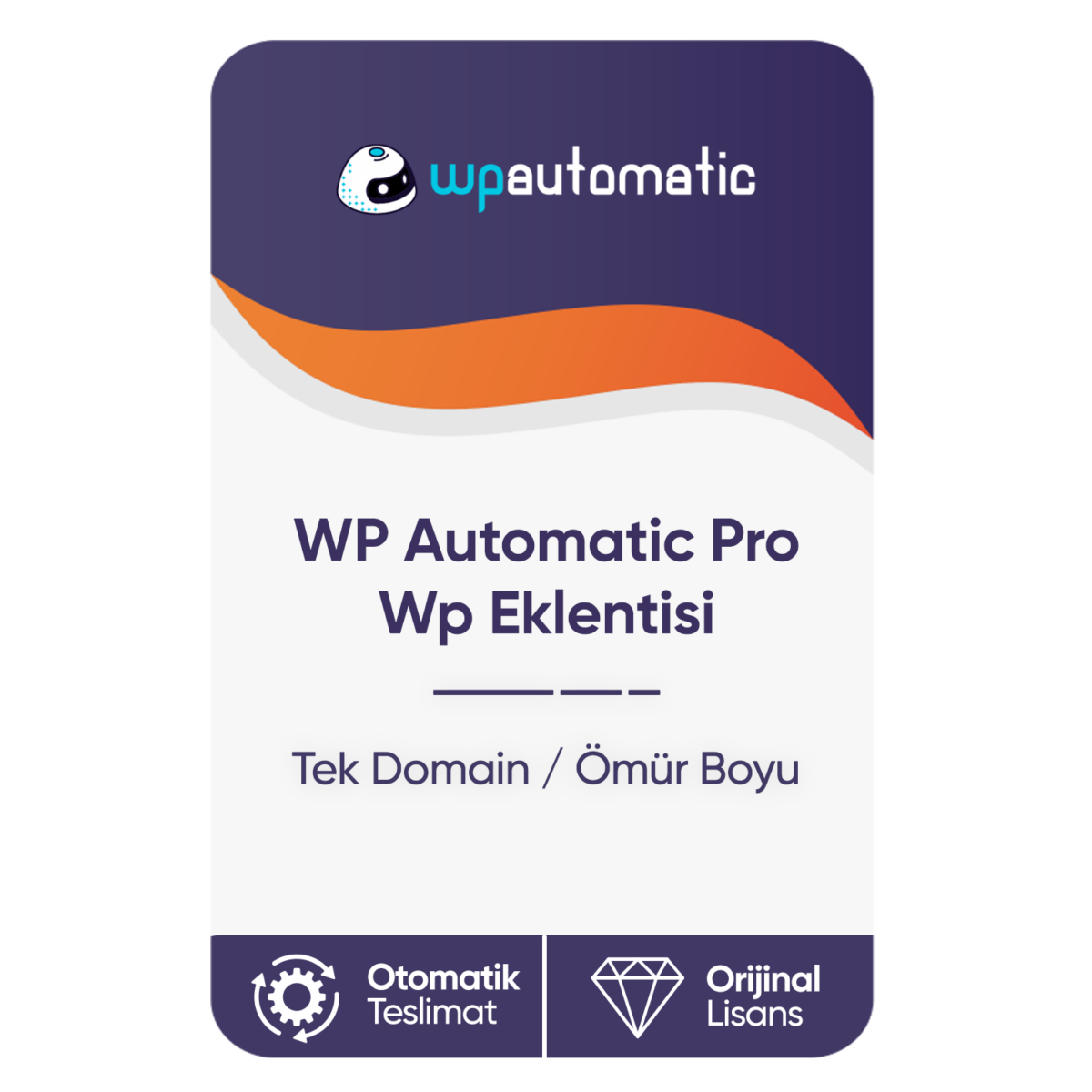 wp automatic pro wp eklentisi tek domain omur boyu kullanim