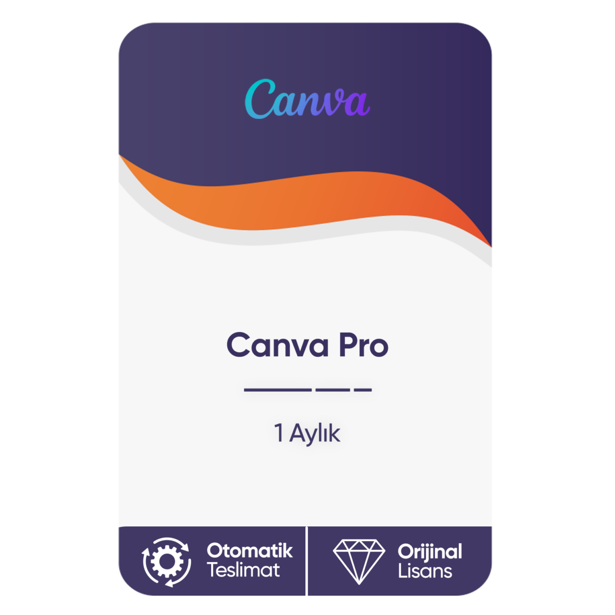 canva 1pro 1 aylik