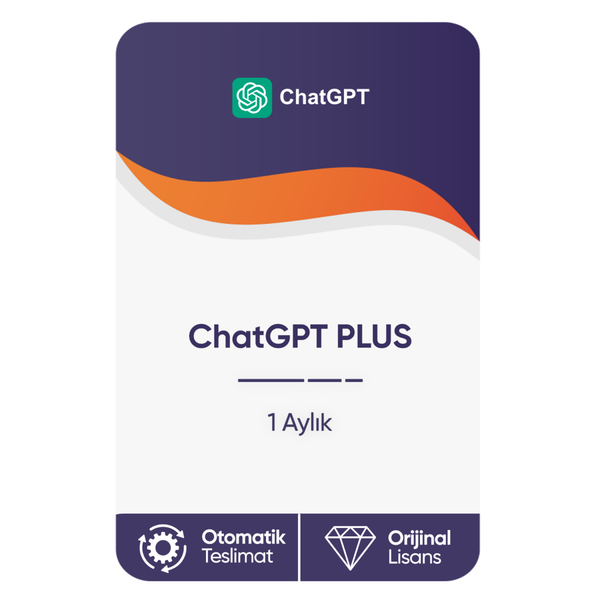 chatgpt plus 1 aylik