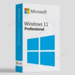 windows 11 pro lisans satın al